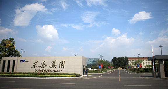 山东东岳集团